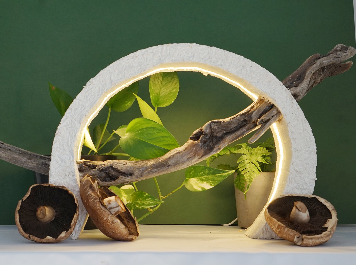 Mycelium Omega Lamp